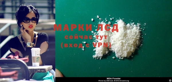 молекула духа Богданович