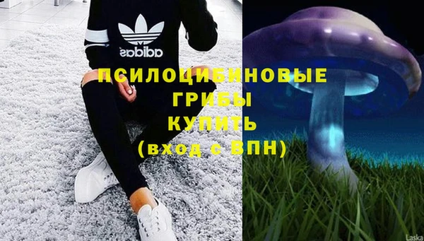 спайс Богородск
