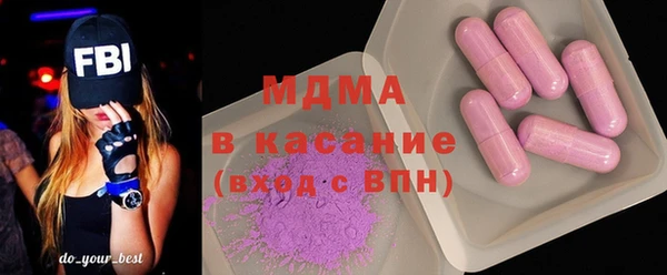 молекула духа Богданович
