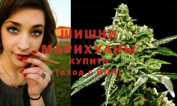 спайс Богородск