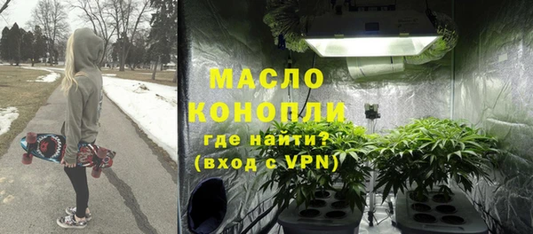 молекула духа Богданович