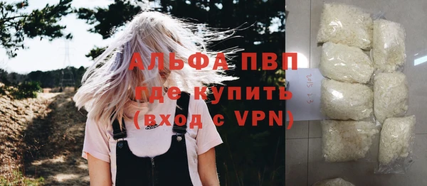 молекула духа Богданович
