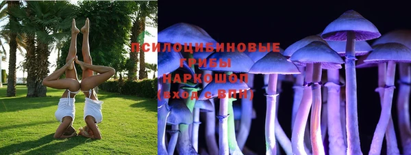 молекула духа Богданович