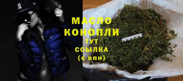 молекула духа Богданович