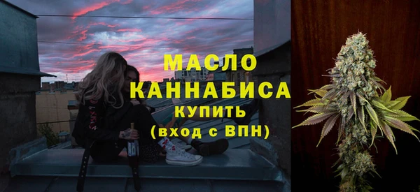 молекула духа Богданович